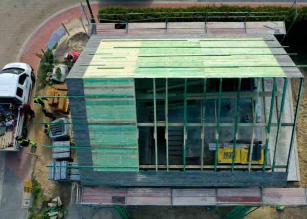 dom w motylkach złotniki