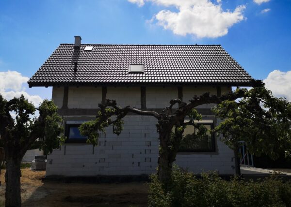 dom w motylkach złotniki