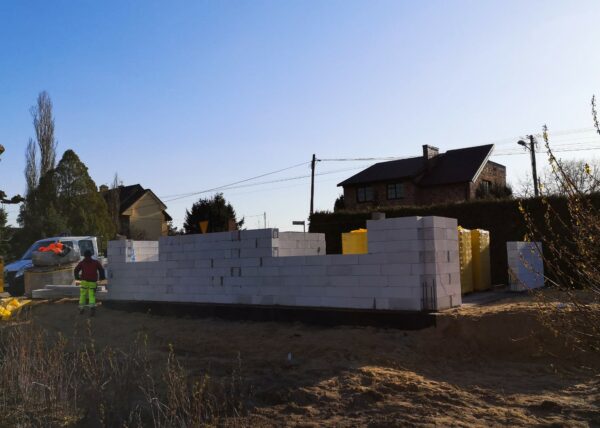 dom w motylkach złotniki