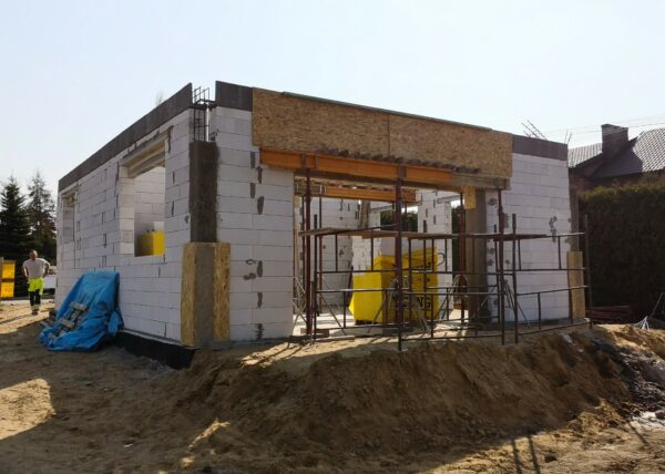 dom w motylkach złotniki