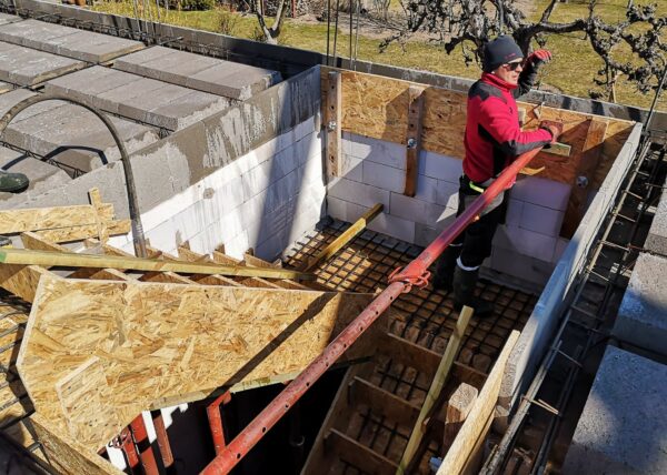 dom w motylkach złotniki