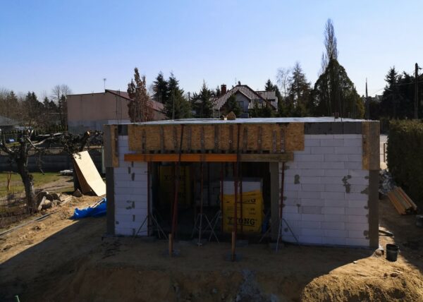 dom w motylkach złotniki