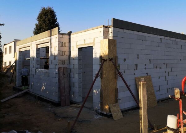 dom w motylkach złotniki