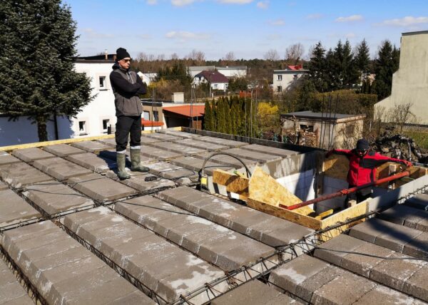 dom w motylkach złotniki