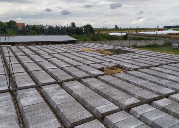 Budujemy domy - dom w Chludowie